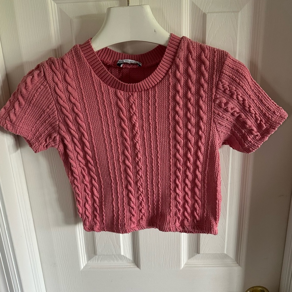 Zara crop top